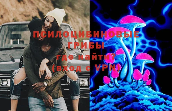 первитин Белокуриха