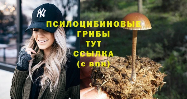 первитин Белокуриха