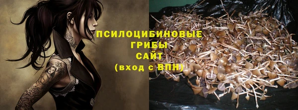 ПСИЛОЦИБИНОВЫЕ ГРИБЫ Беломорск