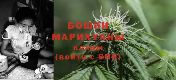 первитин Белокуриха