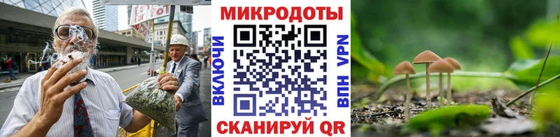 Псилоцибиновые грибы мицелий  где найти   Белоозёрский 